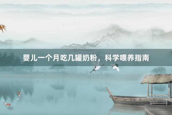 婴儿一个月吃几罐奶粉，科学喂养指南