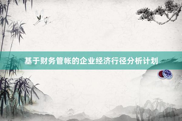 基于财务管帐的企业经济行径分析计划